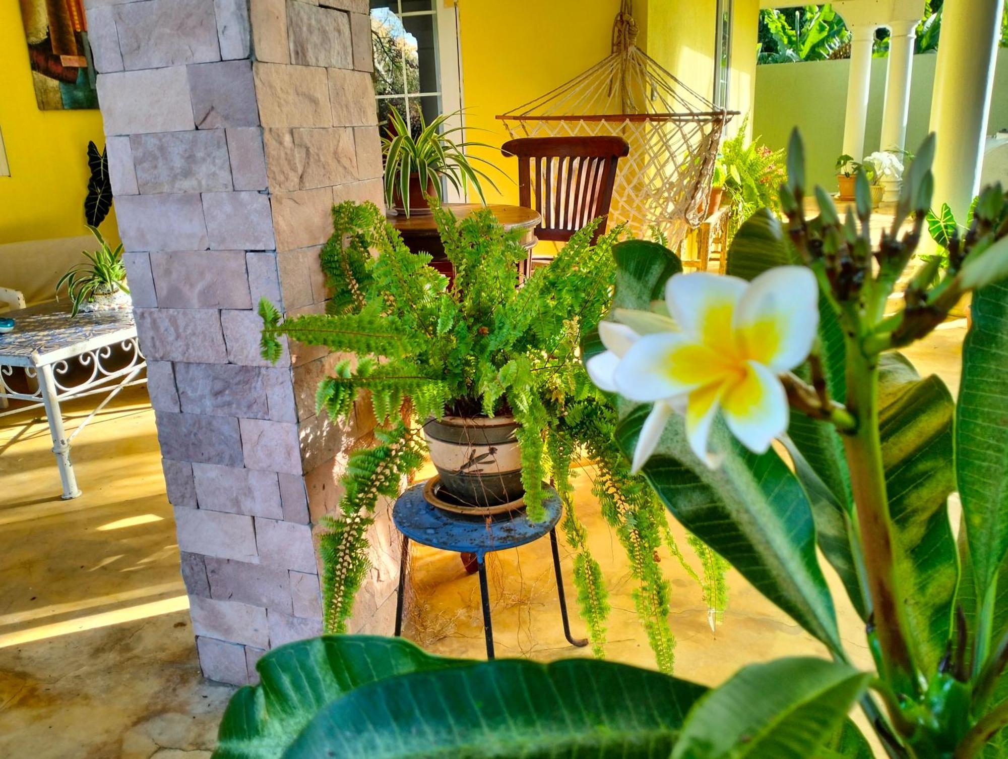 Homestay Comte De Saint-exupery